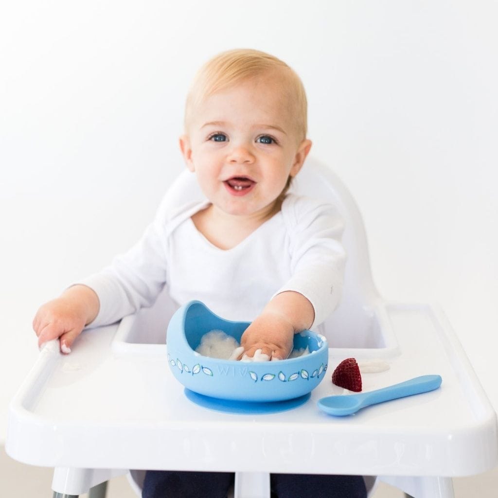 Silicone Bowl Set - Suction bowl for baby by Wild Indiana